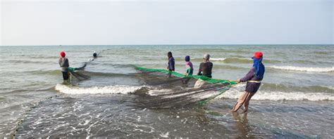 fishing net in tagalog|FISHING NET Meaning in English .